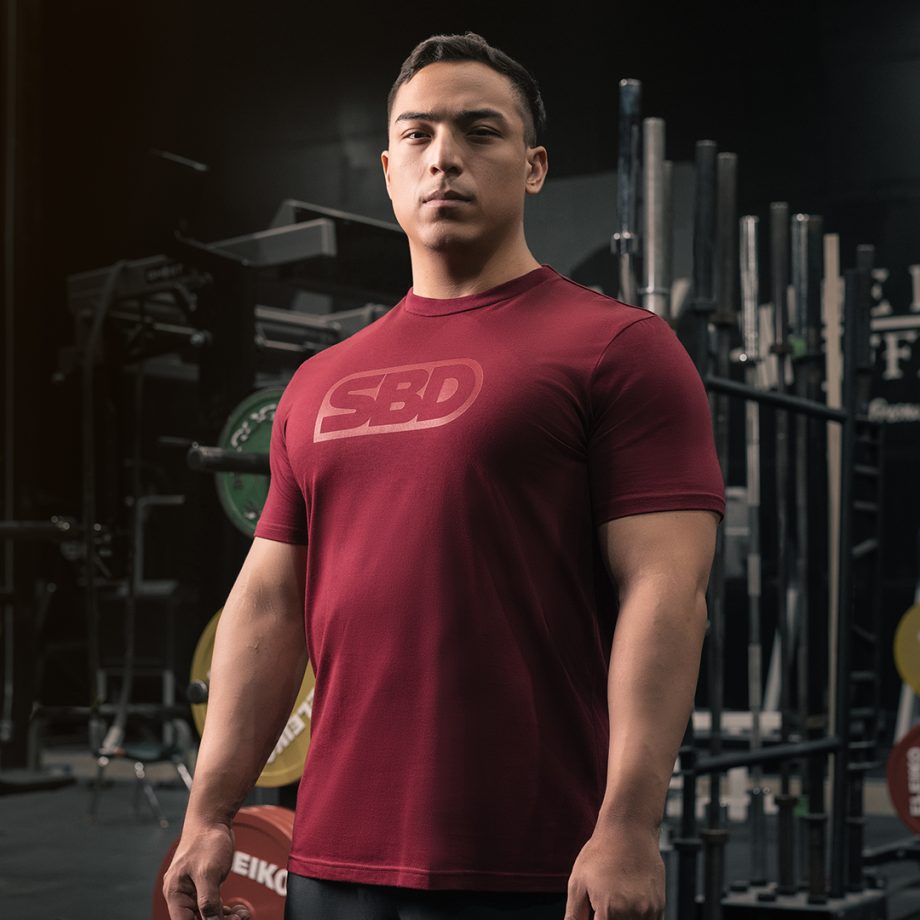 Polera PHOENIX LOGO TINTO